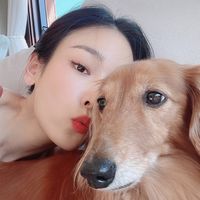 user_profile