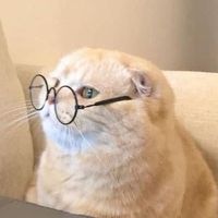user_profile
