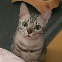 user_profile