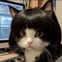 user_profile