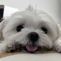user_profile