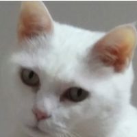 userProfile