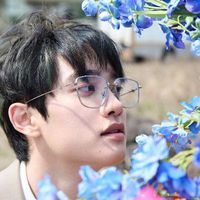 user_profile
