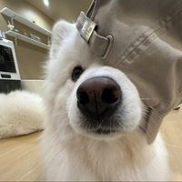 user_profile
