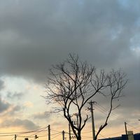 user_profile