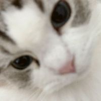 user_profile