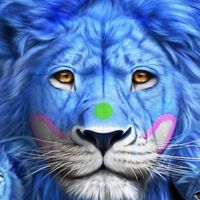 user_profile