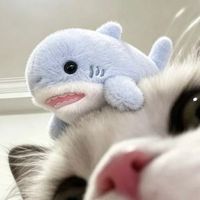 user_profile
