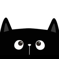 user_profile