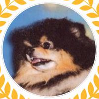 user_profile