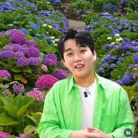 user_profile
