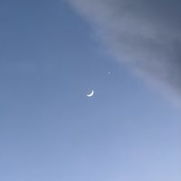 user_profile
