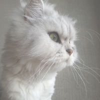user_profile