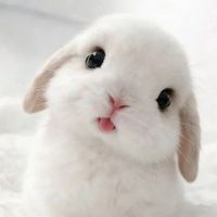user_profile