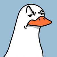 user_profile