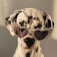 user_profile