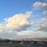 user_profile