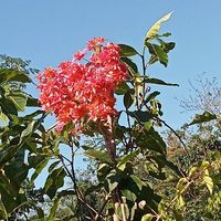 user_profile