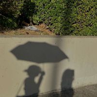 user_profile