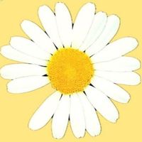 user_profile