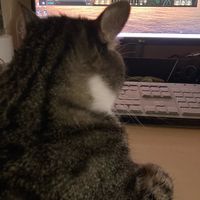 user_profile