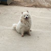 user_profile