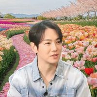user_profile