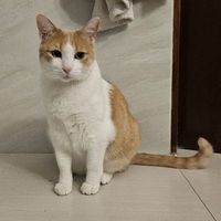 user_profile