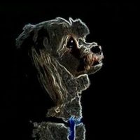 user_profile