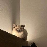 user_profile