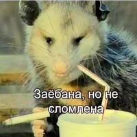 user_profile