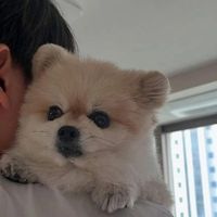 user_profile