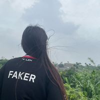 user_profile