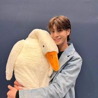 user_profile