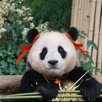 user_profile