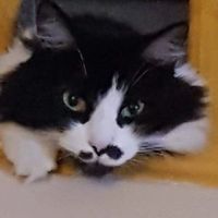user_profile
