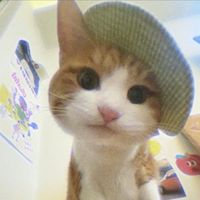 user_profile