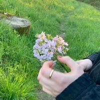 user_profile